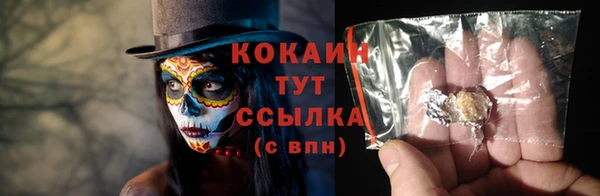 a pvp Новозыбков