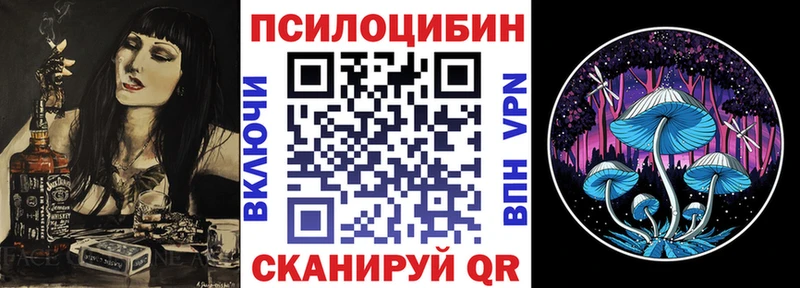Купить  Нея  Галлюциногенные грибы мицелий 